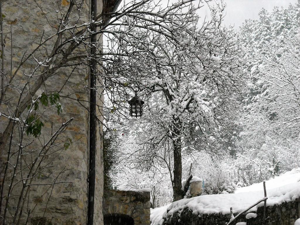 La Piazzetta Di Canale B&B تينو المظهر الخارجي الصورة